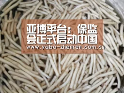 亚博平台:保监会正式启动中国保险通志编纂工程(图4) 亚博网站