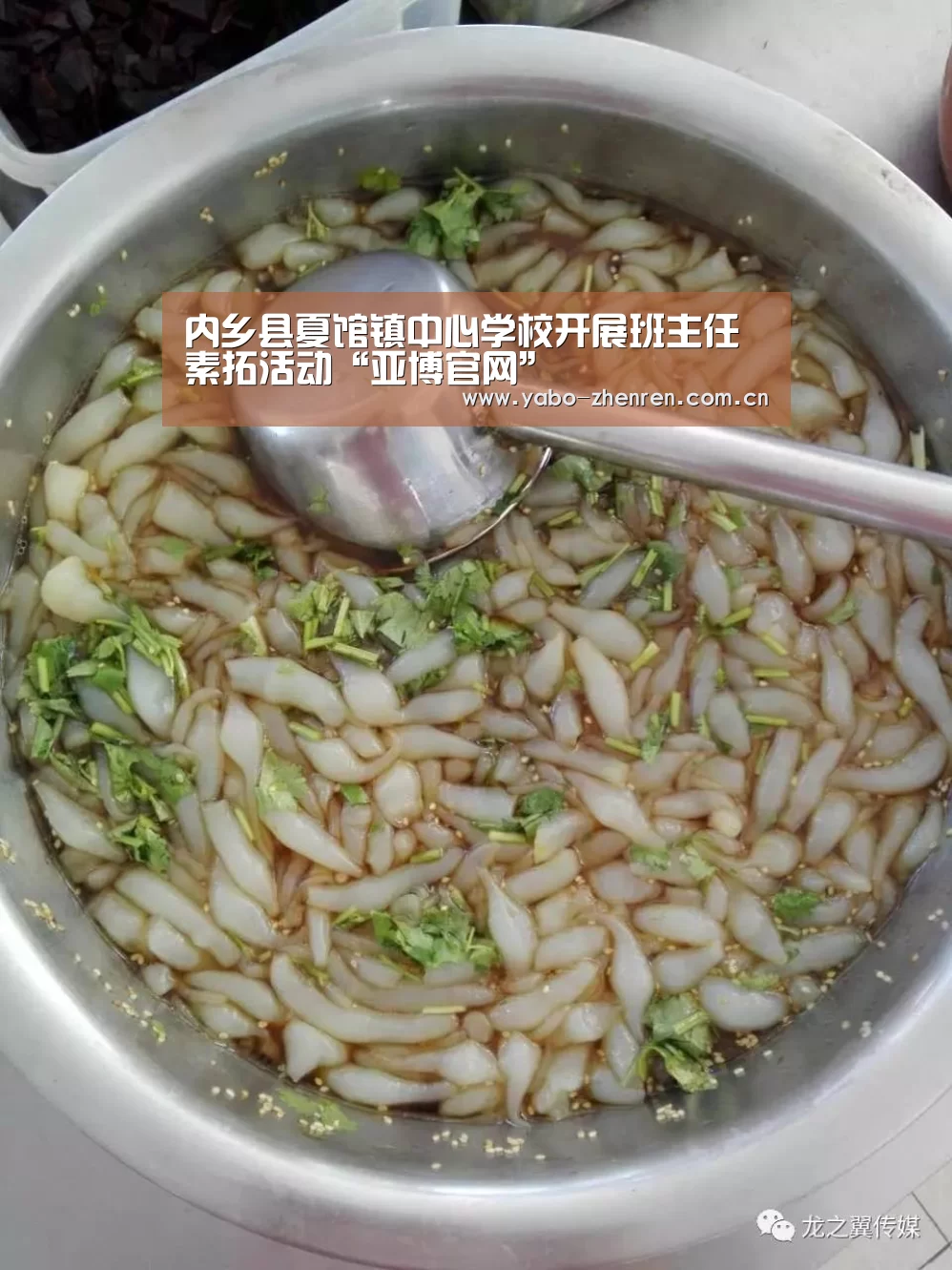 内乡县夏馆镇中心学校开展班主任素拓活动“亚博官网”