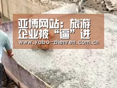 亚博网站：旅游企业被“逼”进直播间：花样百出 钱在哪里？