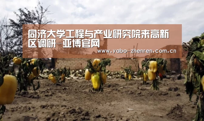 同济大学工程与产业研究院来高新区调研-亚博官网