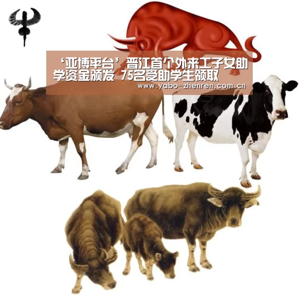 亚博网站