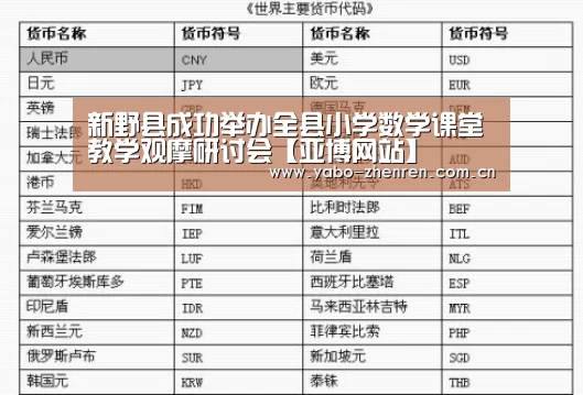 新野县成功举办全县小学数学课堂教学观摩研讨会【亚博网站】(图2) 亚博网站