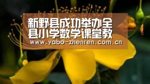 新野县成功举办全县小学数学课堂教学观摩研讨会【亚博网站】